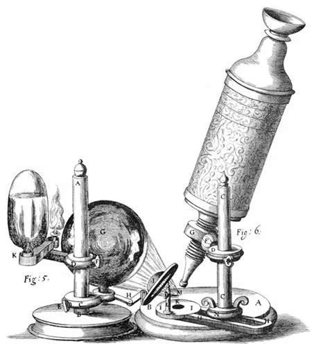robert hookes  major contributions  science learnodo newtonic