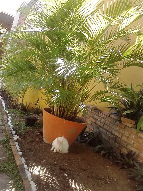 Alegrias e Artes em tecido By Lícia Dutra Coelho x jardim