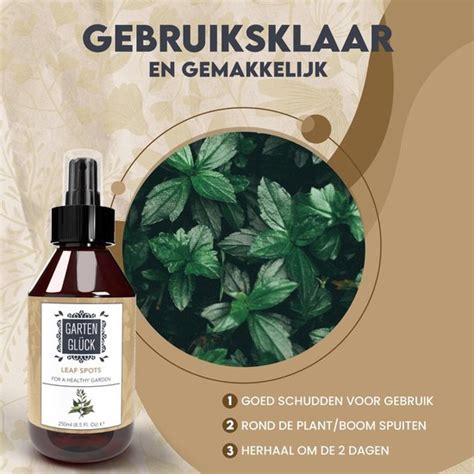 Garten Gl Ck Leaf Spots Meeldauw Bestrijden En Bladvlekkenziekte