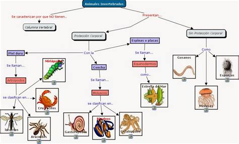 BIOLOGÍA Y GEOLOGÍA 1º ESO LOS ANIMALES INVERTEBRADOS