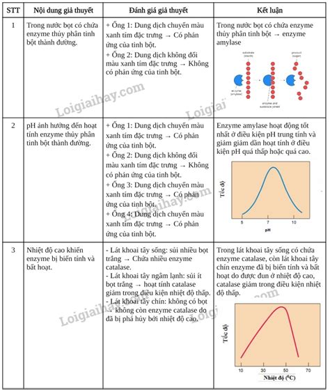 B I Th Nghi M Nh H Ng C A M T S Y U T N Ho T T Nh Enzyme V