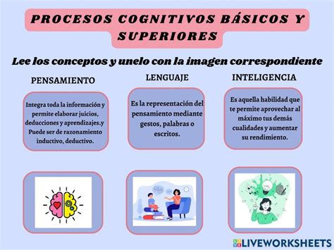 Procesos Cognitivos Básicos Y Superiores Worksheet Live Worksheets