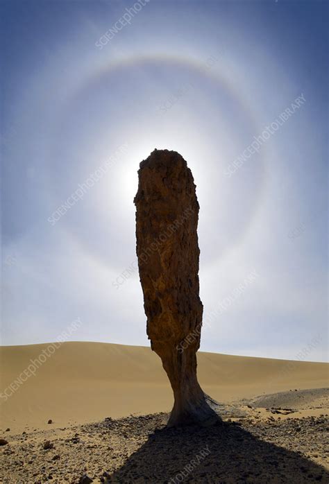 Sun halo - Stock Image - E137/0144 - Science Photo Library