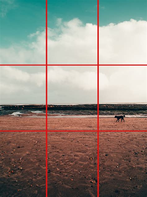 Rule Of Thirds Explanation