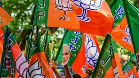 Lok Sabha Elections 2019 In Ara Seat Bjp Strives To Keep Lotus