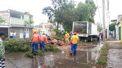 Lluvias afectaron 69 viviendas bardas y árboles caídos en Querét