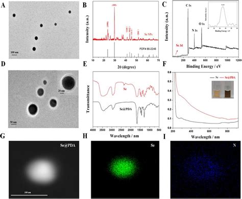 Characterization Of Se And Sepda A Tem Image Of The Se Nps B Xrd