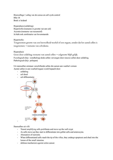 Celbiologie Herkansing Hoorcollege 1 Uitleg Van De Cursus En Cell