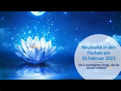 Neumond In Den Fischen Zwischen Romantik Und Leidenschaft Neumond