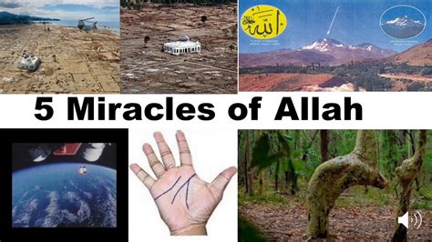 Miracles Of Allah Top Youtube