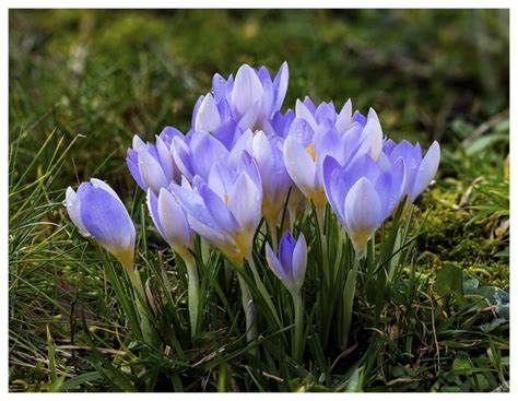 spring  weather   brecon beacons