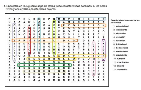 Identifica El La Sopa De Letras Las Palabras Relacionadas Con Las