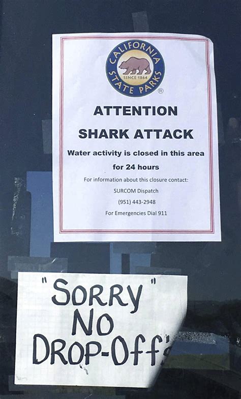 Southern California shark attack survivor recalls fighting off beast