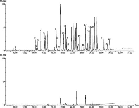 Chromatogram Of Sample Spiked With Pahs 066 G G −1 And Npahs 09 G Download Scientific