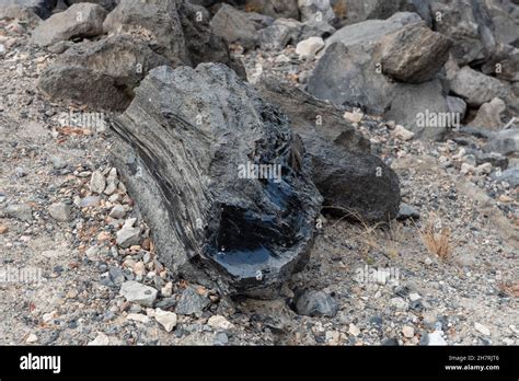 Obsidian Rock In Newberry Volcanic Area In Central Oregon Stock Photo