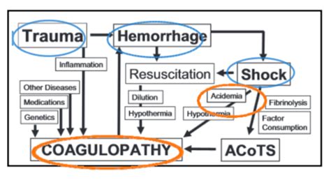 Transfusions Trauma Associated Coagulopathy Drobatz Chapter