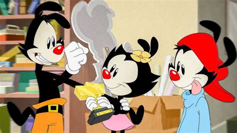 Animaniacs Official Season Trailer Animation Society Youtube