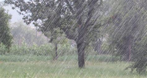 Meteoalarm Izdao Upozorenja Za Brojne Regije U BiH Zbog Jakih Pljuskova