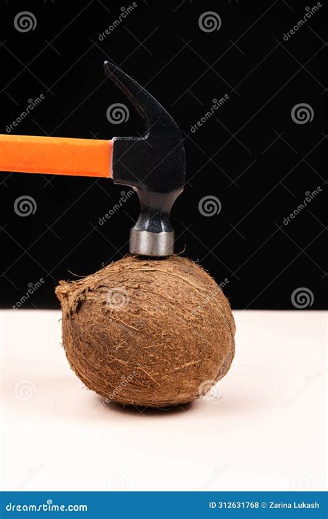 The Process of Breaking a Coconut with a Hammer. Ways To Open a Coconut ...