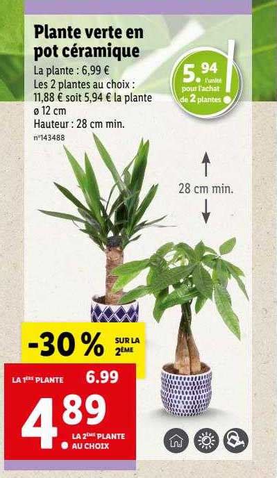 Promo Plante Verte En Pot C Ramique Chez Lidl Icatalogue Fr