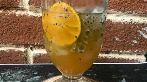 Squash Jeruk Markisa Minuman Dingin Yang Segar Dan Menyehatkan Begini