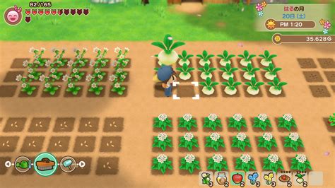 One Of The Best Tips About How To Make Money In Harvest Moon Friends Of