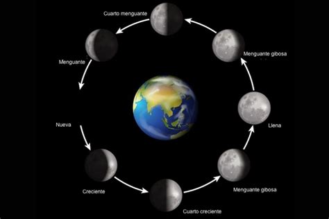 Fases De La Luna Cuáles Son Y Cómo Identificarlas Resumen