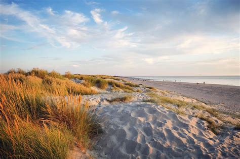 Pub Breakfast, Lunch & Dinner and Dog-Friendly Accommodation Near West Wittering Beach at The ...