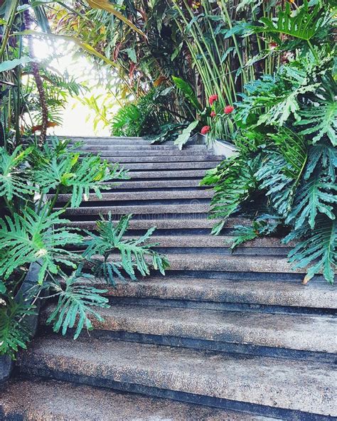 Stairway In The Nature Stock Image Image Of Travel 155014461