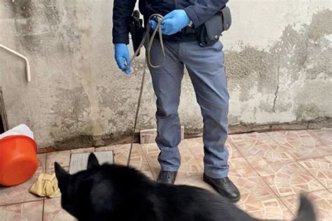 Messina Droga Nella Culla Due Arresti Nel Rione Taormina Il Diario