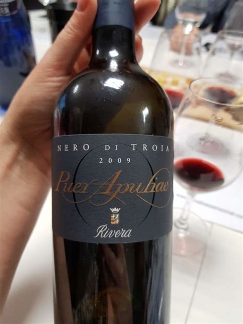 Aprendendo Sobre Vinhos A CIAS Innovation Centro Italiano Di