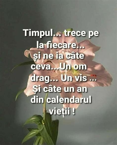 Pin Di Roro Kalcev Su Quotes