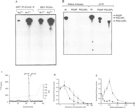 In Vitro Kinase Activity Of Ptdlns 3 Kinase And P1 LOa Assays For P1