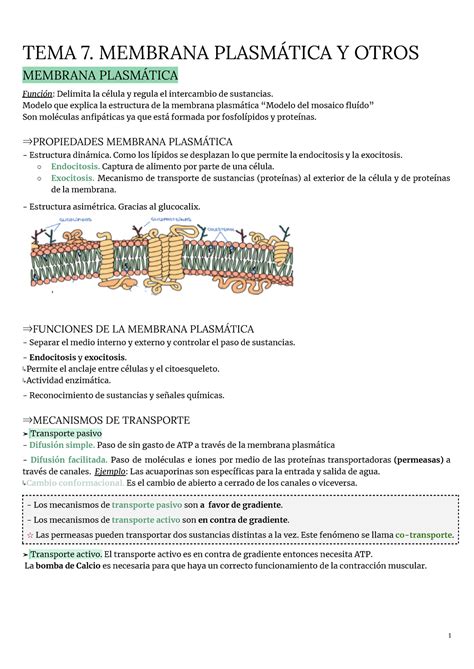 Biología Tema 7 Membrana Plasmática Y Orgánulos No Membranosos Tema