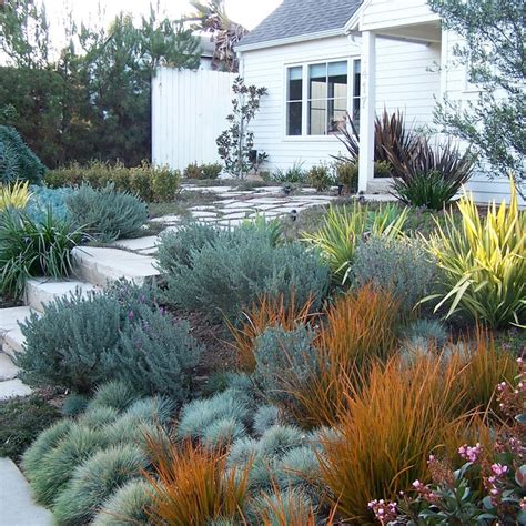 Iris Garden - Photos & Ideas | Houzz