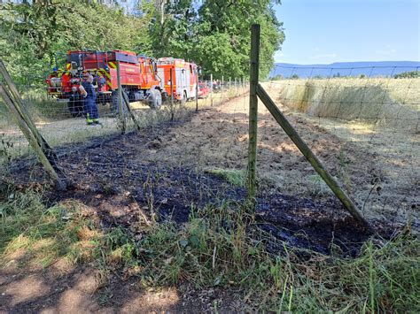 Fl Chenbrand Gro Feuerwehr Malsch Retten L Schen Bergen Sch Tzen