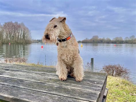 Isawissex On Twitter RT Bertie Lakeland Happy Sunday Everyone