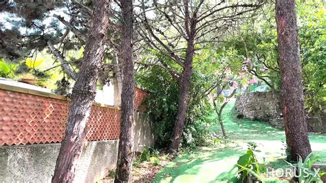 La MiLF Francese Marie Cavalca Un Grosso Cazzo XHamster