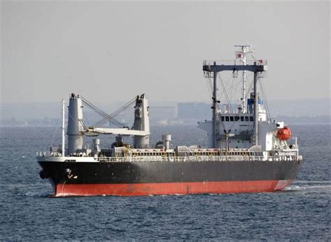 10700 Dwt General Cargo Ship For Sale