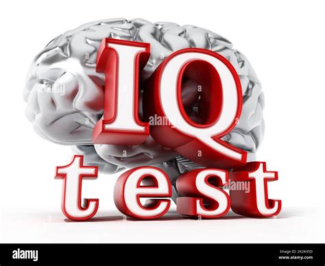 Human Brain And Iq Test Text Isolated On White Background 3d