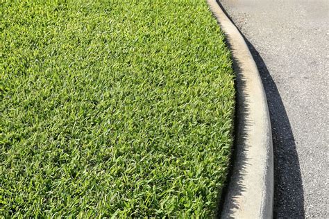 A Definitive Guide To The Best Weed And Feeds For St Augustine Grass