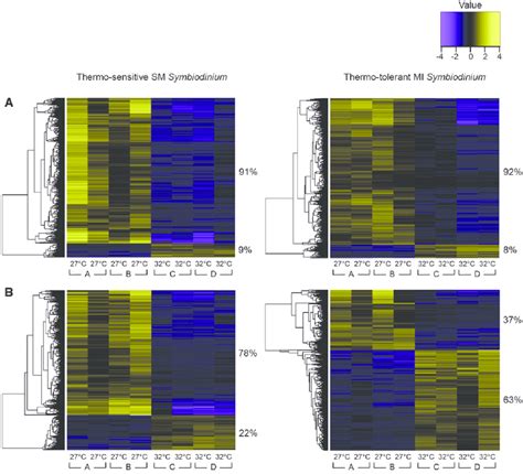 Hierarchical Clustering Of DEGs Heat Maps Show Genes Rows With