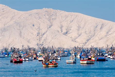 Boats in Chimbote, Peru