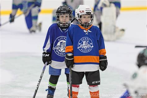 Wildcat Boys Hockey On Twitter Youth Hockey Night The Big Wildcats