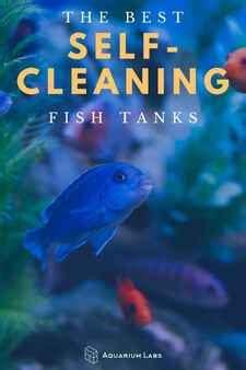 Best Self Cleaning Fish Tank Aquariums Buyer S Guide