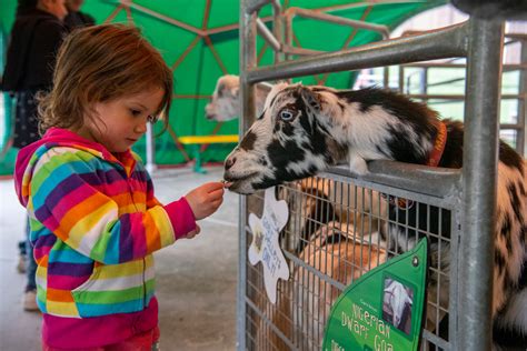 Feeding a Zoo & Aquarium | What Do Zoo Animals Eat? | Point Defiance Zoo