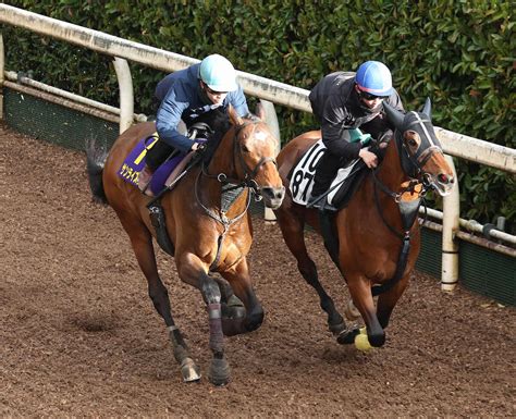 【皐月賞1週前追い】サンライズジパング 坂路自己ベスト、陣営「中山なので前めで運べれば」― スポニチ Sponichi Annex ギャンブル