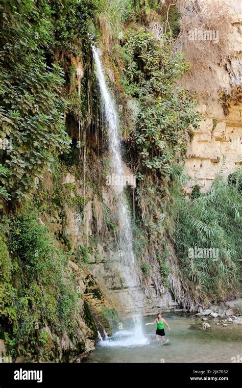 Streams And Waterfalls Nature Reserve Ein Gedi At The Dead Sea In