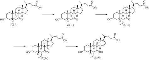 Method For Preparing Obeticholic Acid From New Derivative Of 3alpha