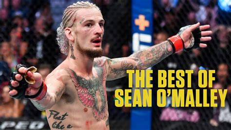 Sean OMalleys Best UFC Highlights ESPN MMA YouTube